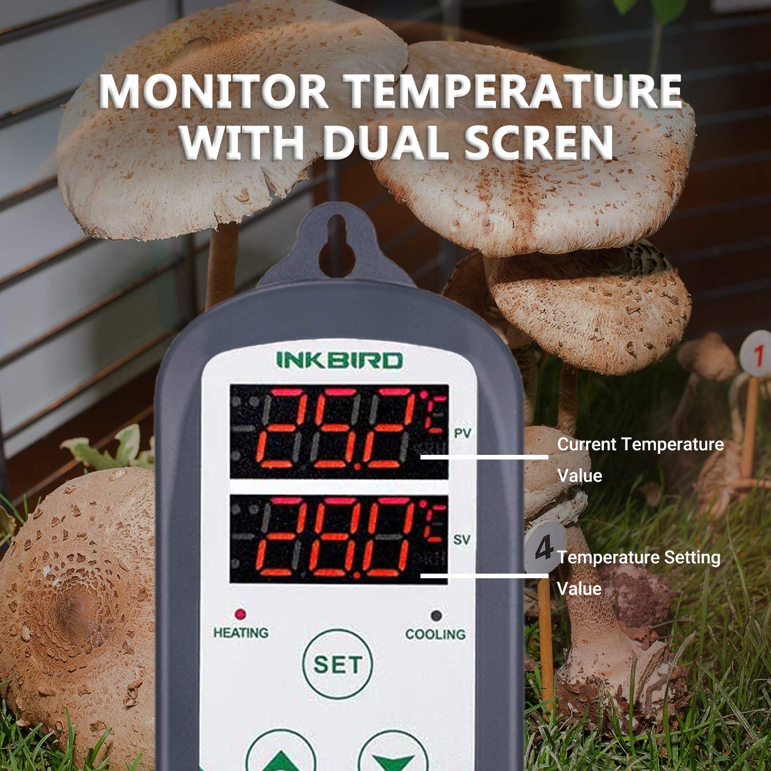 Inkbird ITC-308 Digitaler Temperaturregler | Heiz- & Kühlsteuerung | 230 V Thermostat mit Fühler & Doppelrelais